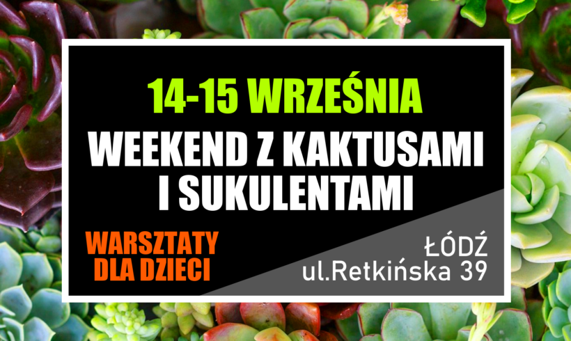 WEEKEND Z SUKULENTAMI WEEKEND Z SUKULENTAMI