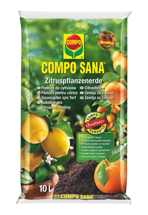 buchweizen saatgut bio Buchweizen 400 g Saatgut main image 0