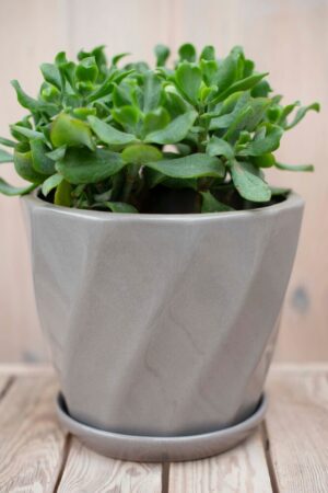 020-00025 Donica ceramiczna Wave 3 Latte Wa3-ca