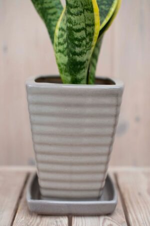 020-00027 Donica ceramiczna square latte