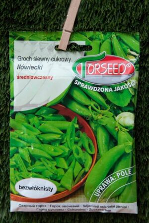 310-00995 GROCH SIEWNY CUKROWY IŁÓWIECKI 50G