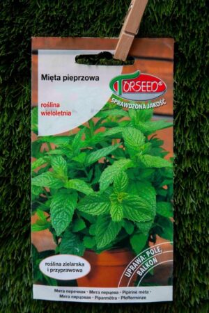 310-02452 MIĘTA PIEPRZOWA 0,1g