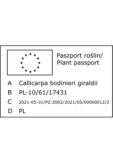905-00153 Callicarpa bodinieri giraldii paszport